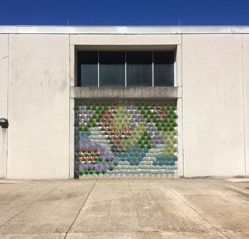 Texas A&M Installs New Green Wall