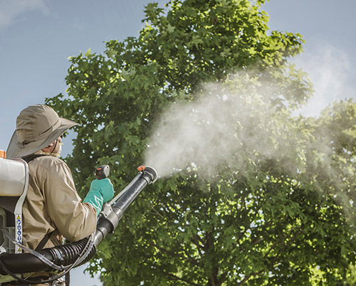 Pests and Pesticides Report