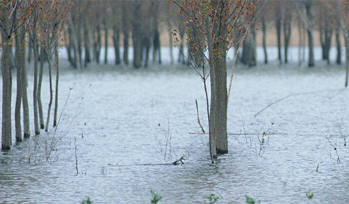 Louisiana Passes Infrastructure Bill