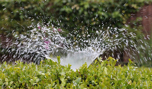 Smart Irrigation Video Contest
