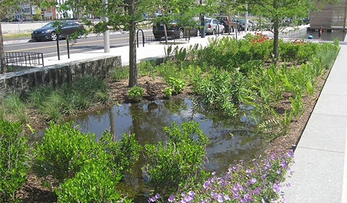 Study Links Poorly Planned Green Infrastructure With Spread of Diseases